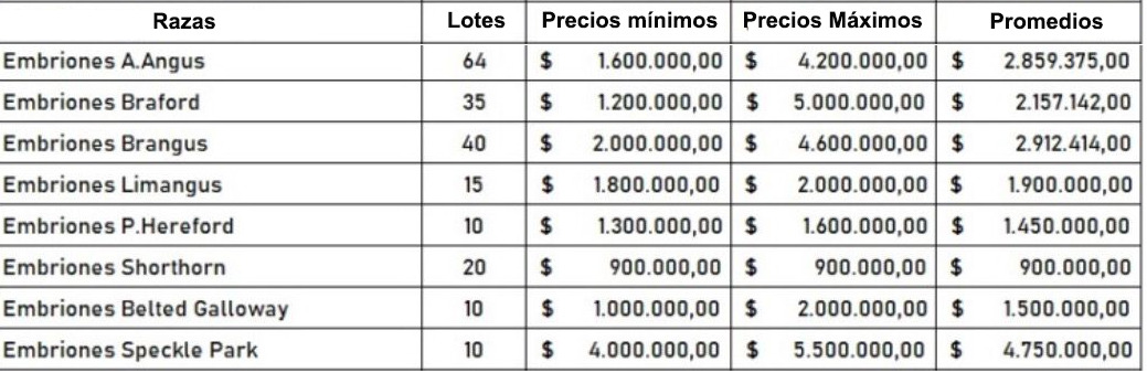 Primer remate